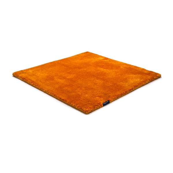 Studio NYC Classic Edition