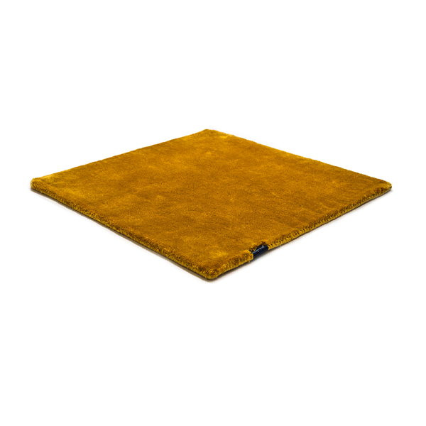 Studio NYC Classic Edition